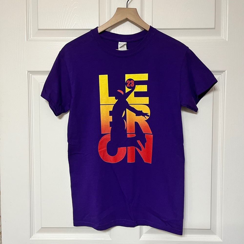 Lebron James Basketball Graphic T Shirt Mens Gildan Purple Small NBA